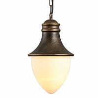 уличный подвесной светильник arte lamp vienna a1317so-1bn в Бийске