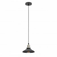 подвесной светильник эра loft pl4 bk/bn в Бийске