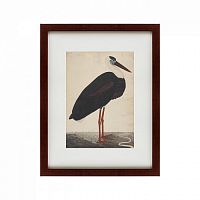 картина: black stork in a landscape, индия, 1780 в Бийске