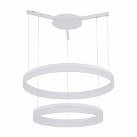подвесной светодиодный светильник arte lamp a2504sp-2wh в Бийске