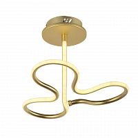 потолочный светодиодный светильник arti lampadari angelo l 1.2.35.03 g в Бийске