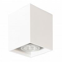 потолочный светильник артпром tubo8 sq p1 10 в Бийске