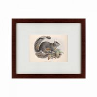 картина: the squirrel, 1879 в Бийске