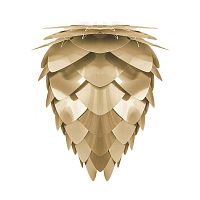 плафон conia brushed brass в Бийске