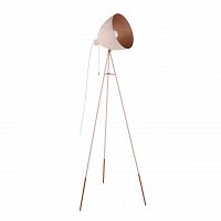 торшер eglo chester-p 49039 в Бийске