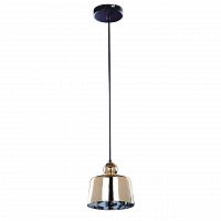 подвесной светильник spot light fiji 9705112 в Бийске