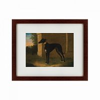 картина: portrait of a greyhound called pompon, 1746 в Бийске