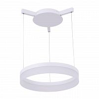 подвесной светодиодный светильник arte lamp a2502sp-1wh в Бийске