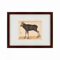 картина: moose, 1560 в Бийске