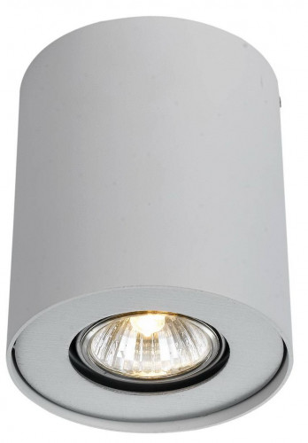 потолочный светильник arte lamp falcon a5633pl-1wh в Бийске