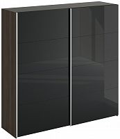 шкаф-купе slide 1700 черный в Бийске