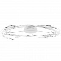 потолочный светильник lightstar ovale 784246 в Бийске