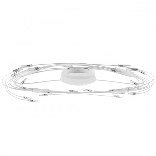 потолочный светильник lightstar ovale 784246 в Бийске