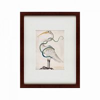 картина: heron encircled by a snake, 1700 в Бийске