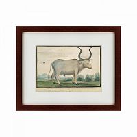 картина: cape ox, 1778 в Бийске