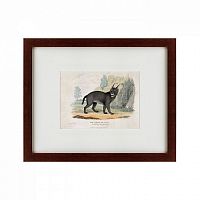 картина: a caracal or lynx, 1830 в Бийске