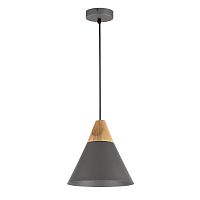 подвесной светильник maytoni bicones p359-pl-220-c в Бийске