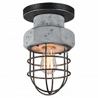 потолочный светильник lussole loft lsp-9701 в Бийске