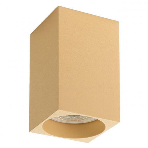 потолочный светильник denkirs dk2009-co в Бийске