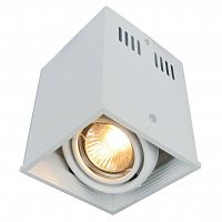 потолочный светильник arte lamp cardani a5942pl-1wh в Бийске