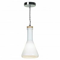 подвесной светильник lussole loft 5 lsp-9635 в Бийске