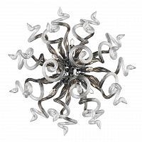 бра lightstar medusa 890659 в Бийске