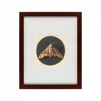 картина: owlet moth, 1700 в Бийске